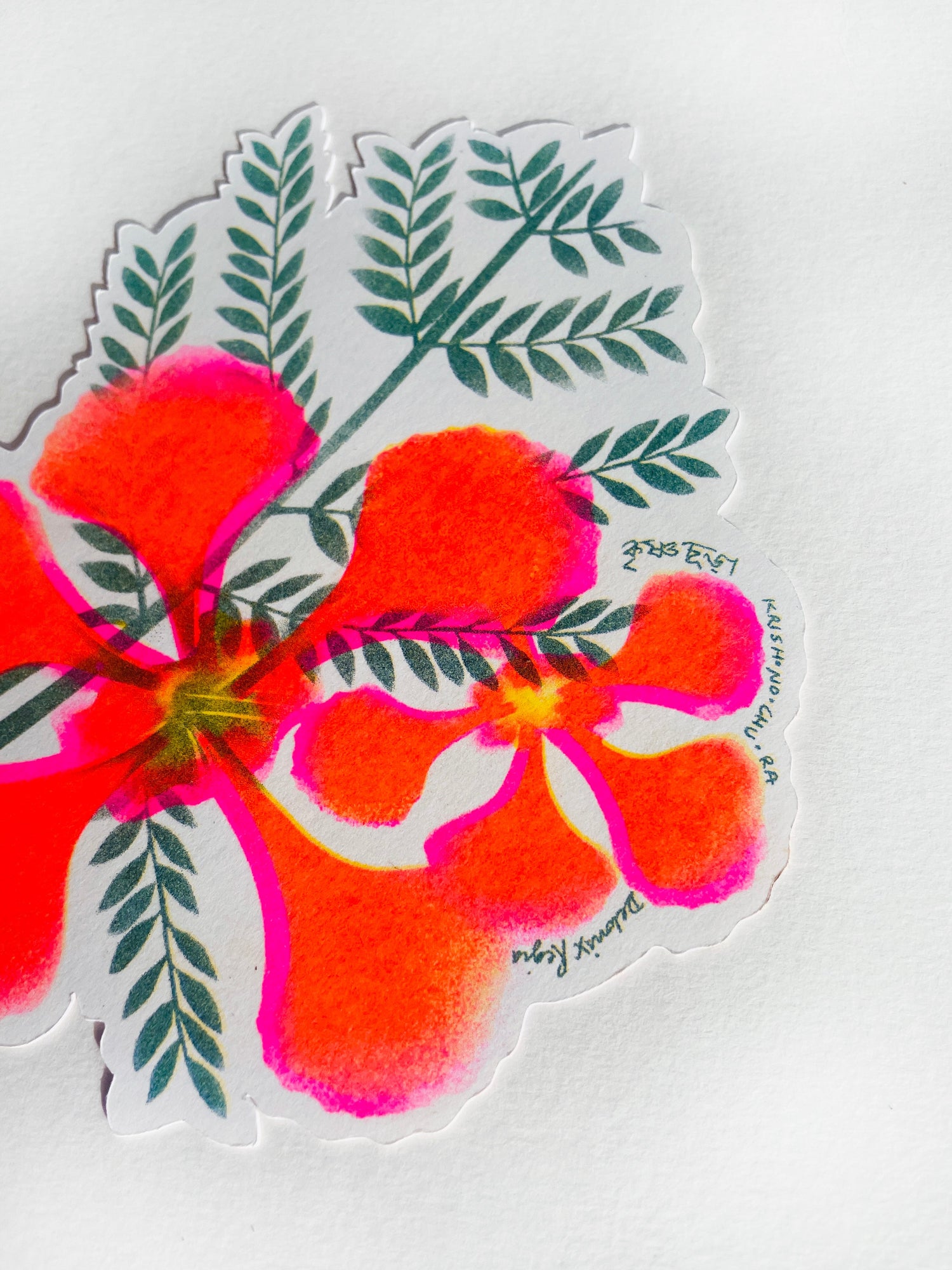 Riso Prints