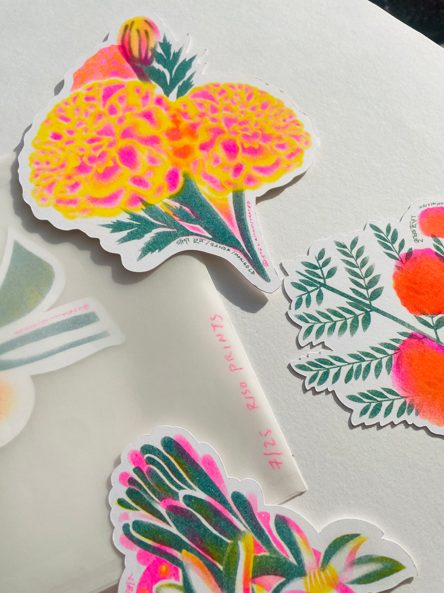 Banglar Bouquet Riso Flower Pack (LIMITED EDITION - each pack numbered)